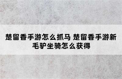 楚留香手游怎么抓马 楚留香手游新毛驴坐骑怎么获得